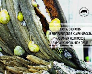 Фауна, экология и внутривидовая изменчивость наземных моллюсков в урбанизированной среде