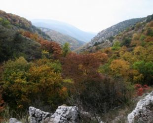 Конкурси осені