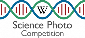 logo_for_e-science_photo_competition_v2-svg