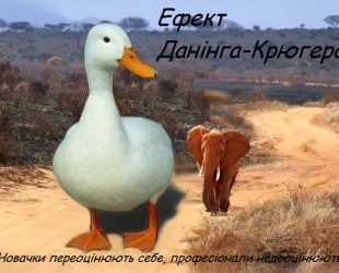 Необізнані про власне незнання: ефект Даннінга-Крюгера