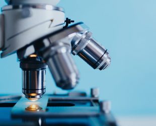 Труднощі ембріональних досліджень