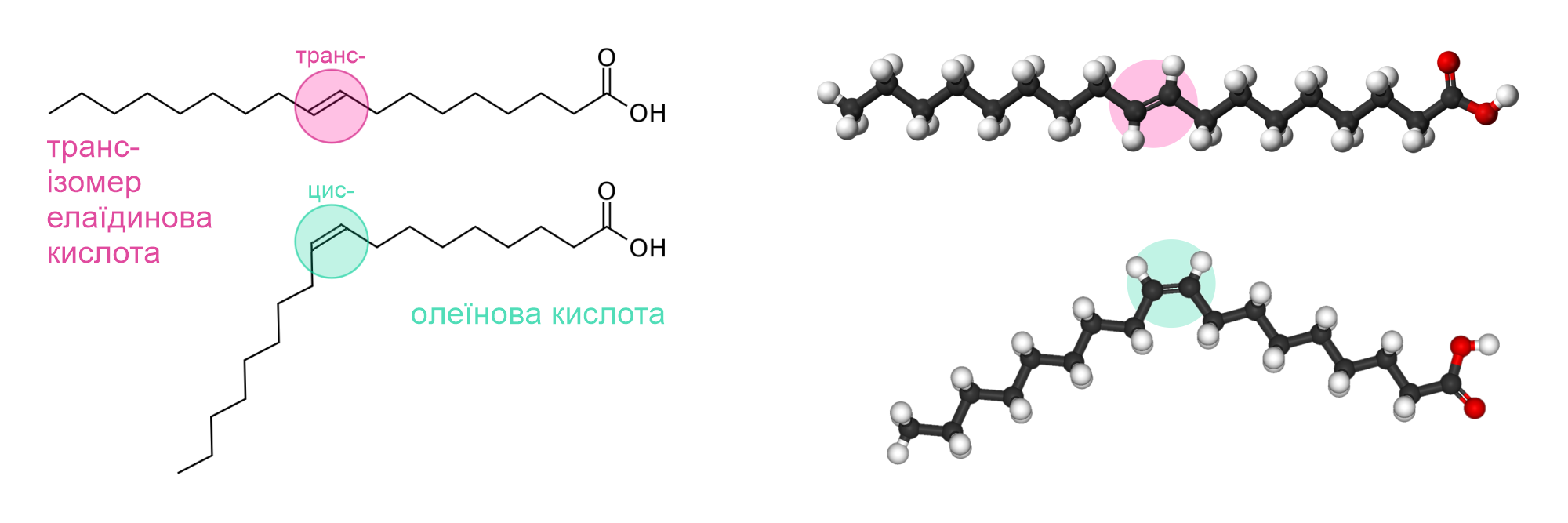 Приклад транс- і цис- ізомерів омега-9 ненасичених жирних кислот: олеїнова кислота та її транс-ізомер елаїдинова кислота.